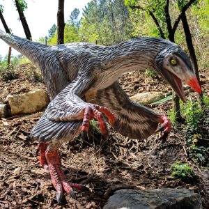 ARCHEOPTERYX