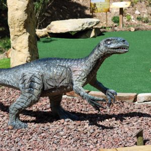 ASYLOSAURUS