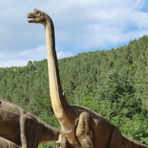 BRACHIOSAURUS MARRON