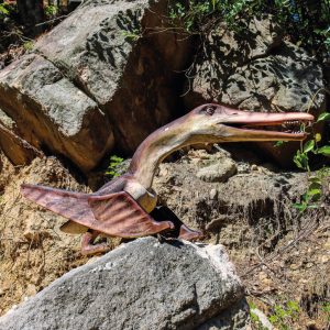 CEARADACTYLUS