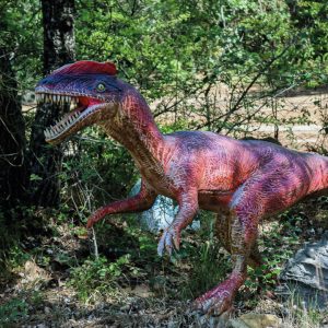 COELOPHYSIS