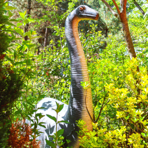 DIPLODOCUS