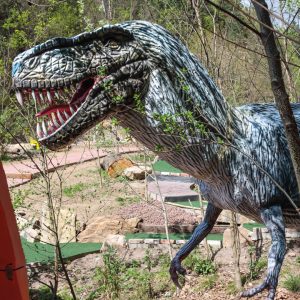 GORGOSAURUS