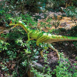 GUANLONG WUCAII BÉBÉ