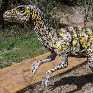 HERRERASORUS