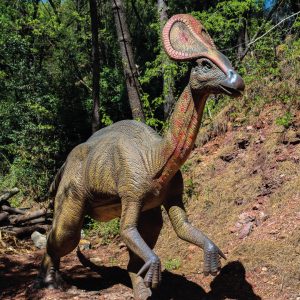 OLOROTITAN