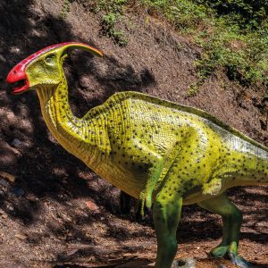 PARASAUROLOPHUS VERT