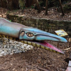 PLIOSAURUS FUNKEI