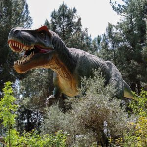 TYRANNOSAURUS REX