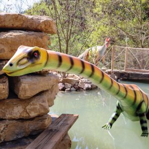 TANYSTROPHEUS