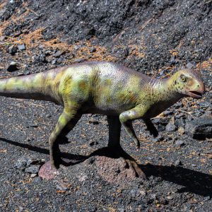 HYPSILOPHODON