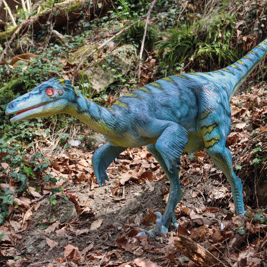 TROODON