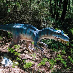ALLOSAURUS DEBOUT