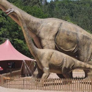 BRACHIOSAURUS MARRON BÉBÉ