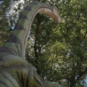 BRACHIOSAURUS VERT BÉBÉ