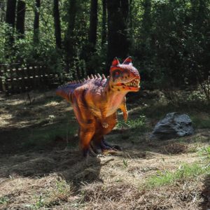 CARNOTAURUS BÉBÉ