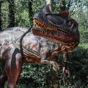 CERATOSAURUS