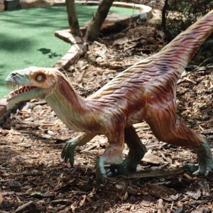 DEINONYCHUS MARRON