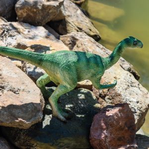 EORAPTOR