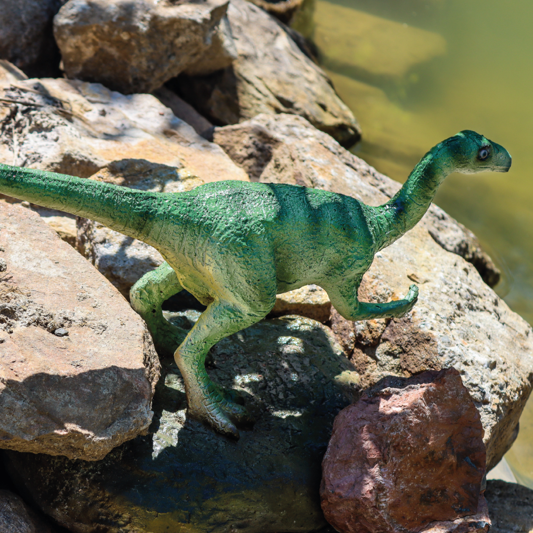 EORAPTOR