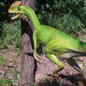 GUANLONG WUCAII