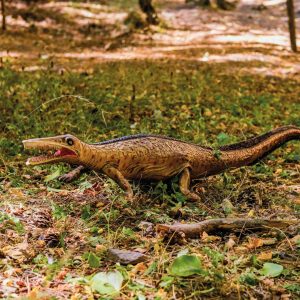 MESOSAURUS JAUNE