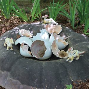 OEUFS DE PARASAUROLOPHUS