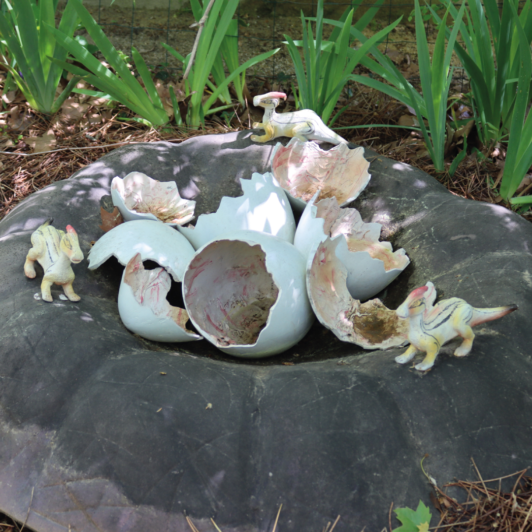 OEUFS DE PARASAUROLOPHUS