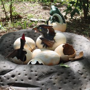 OEUFS DE PTERANODON