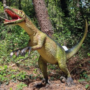 VARIRAPTOR