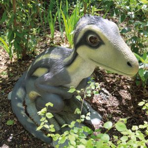 TROODON