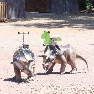 TRICERATOPS