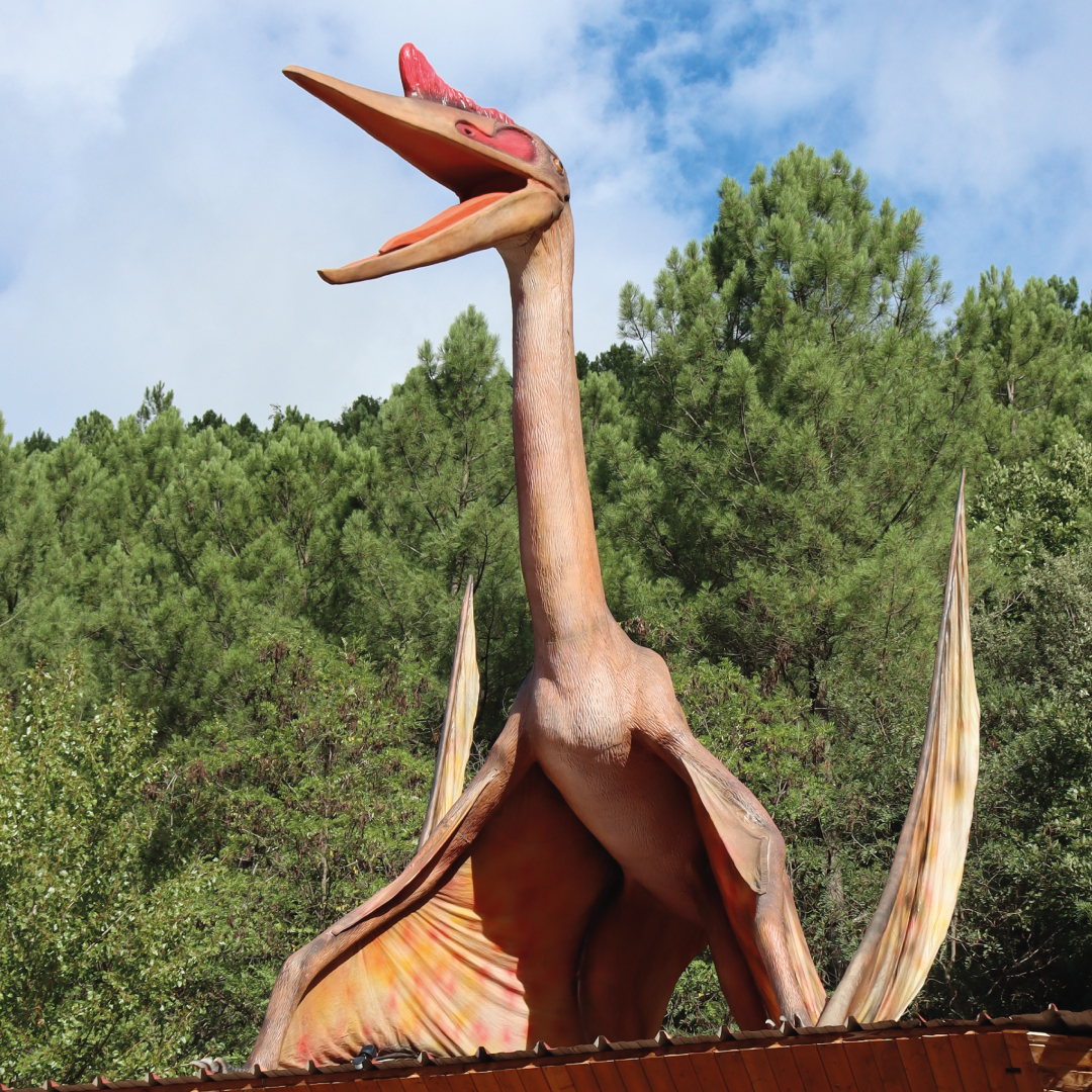 QUETZALCOATLUS MARRON