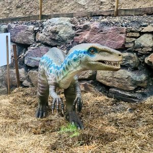 VELOCIRAPTOR GRIS