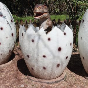 OEUFS DE TYRANNOSAURUS REX