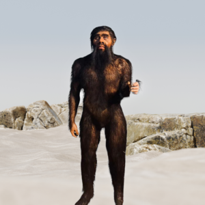 HOMME AUSTRALOPITHÈQUE