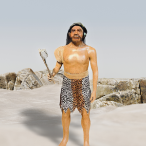 HOMO ERECTUS
