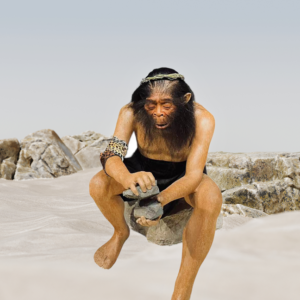 HOMO HABILIS