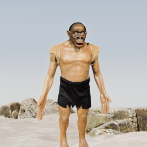 SAHELANTHROPUS TCHADENSIS